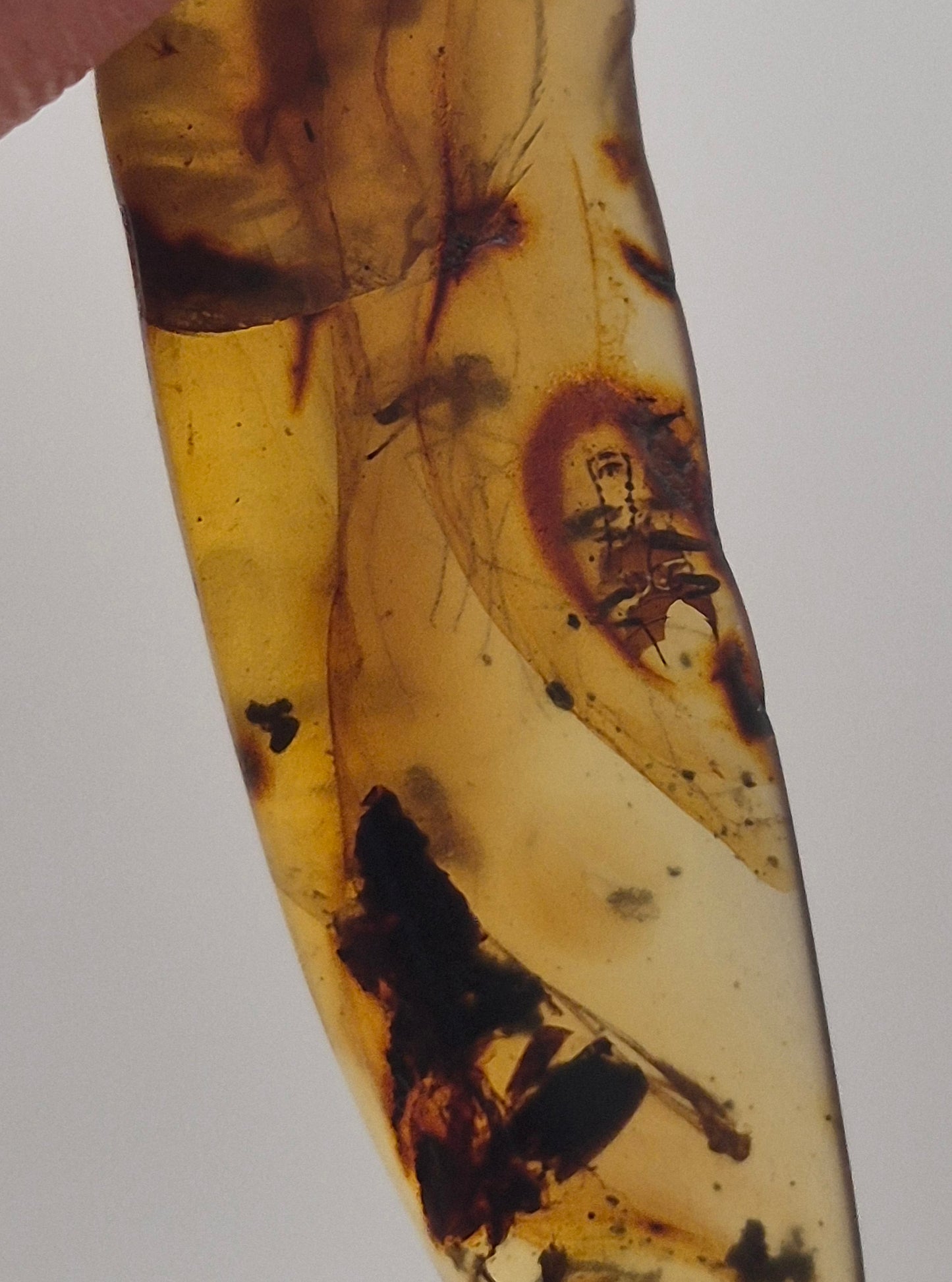 Mosquito in Burmese Amber