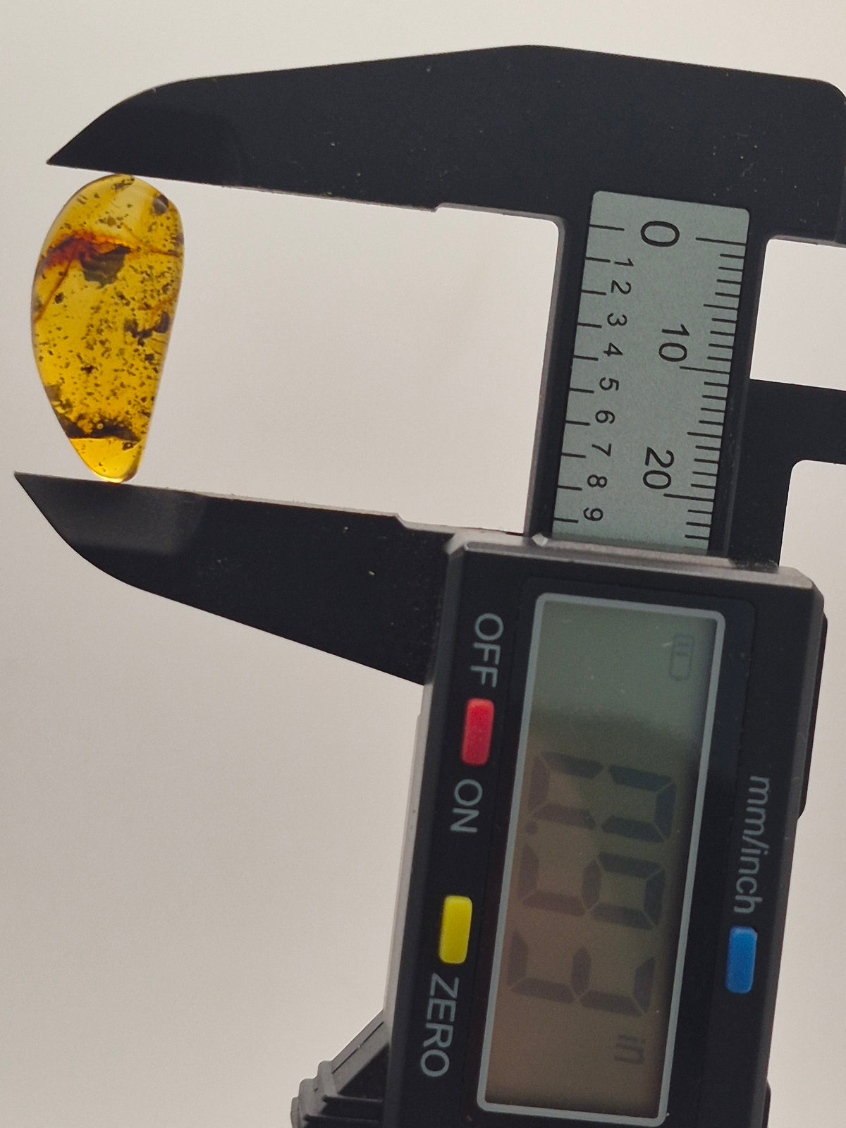Wasp in Burmese Amber