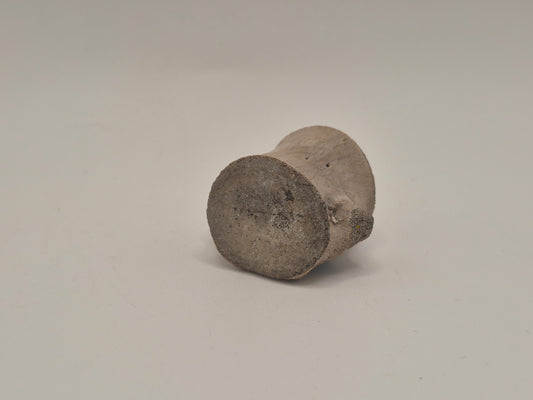 0.96" Ceratopsian indet. Anterior Caudal Vertebra (Judith River)