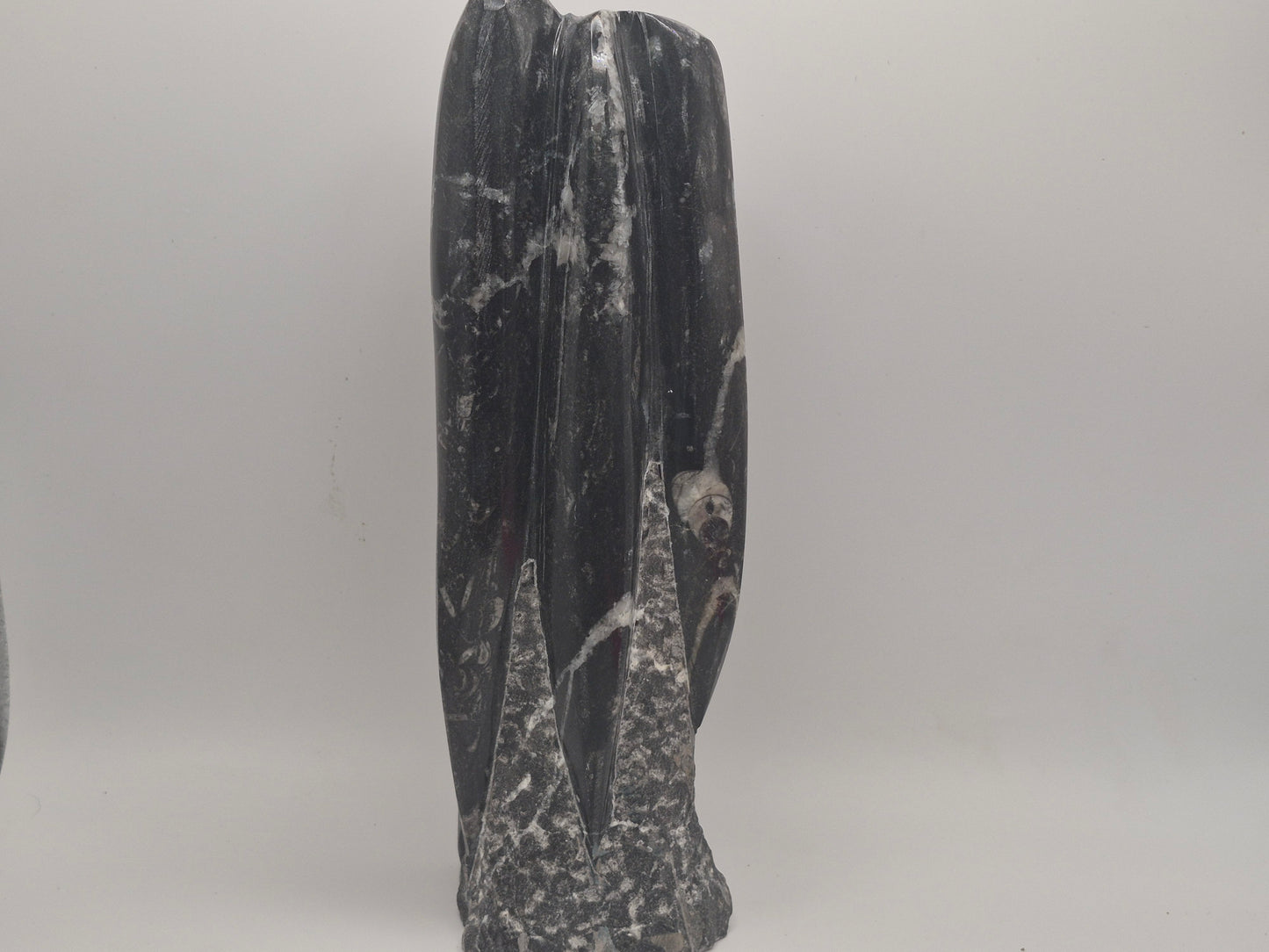 3lb Orthoceras Tower(Morocco)