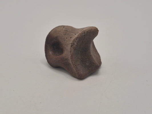 1.1" Ceratopsian Indet. Pedal phalanx (Judith River)