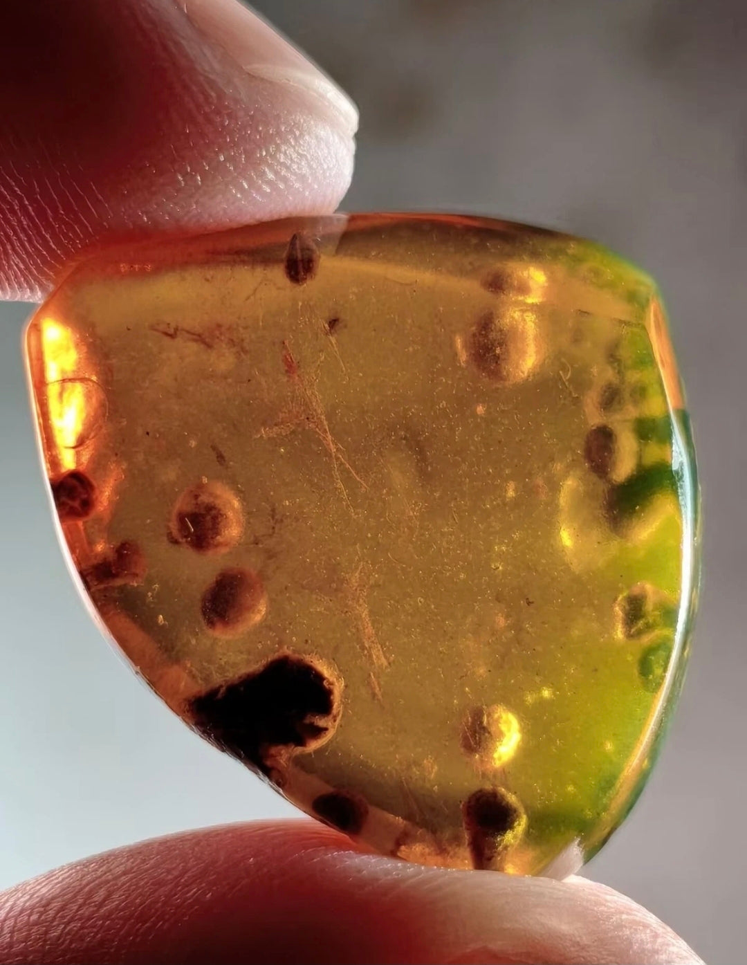 Bundle of 10 Burmese Amber With Bugs