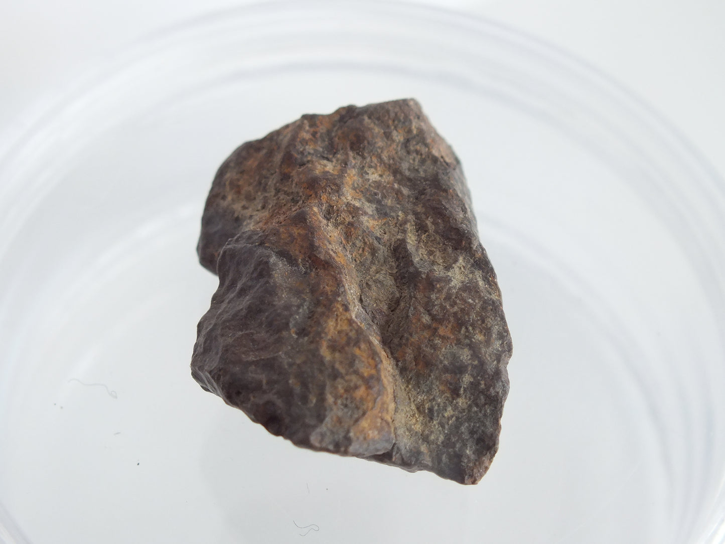 12g Stony Chondrite Meteorite